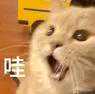 趕緊收藏！鐵路購票、退票、改簽、訂餐、乘車注意事項等都在這里啦！